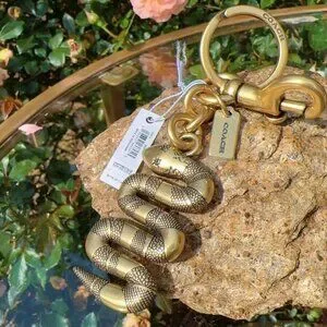 ◆Coach◆ New Year Beaded Snake Bag Charm CZ127 B4/B4 Coach New Year Signature Snake Charm | TikTok